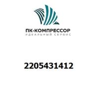 2205431412 O-RING FLUORIDE