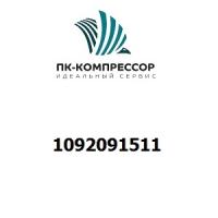 1092091511 MOTOR 200KW 6KV IP54 WITH PT&H