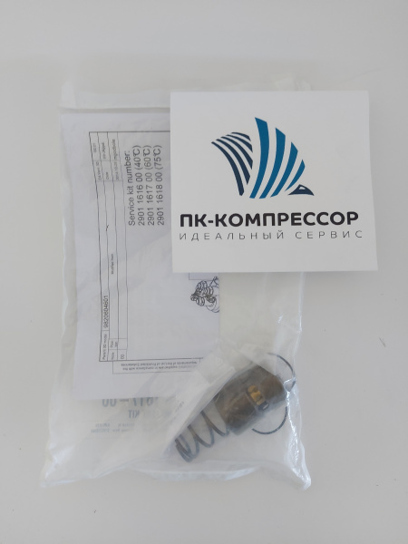 2901161700 THERMOSTAT KIT 60 DEGREE C (Набор для замены термостата)