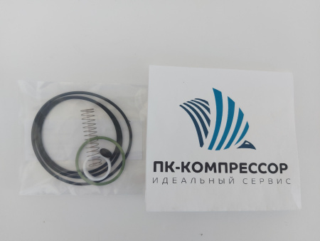 2200900961 KIT SPARES UNLOADER C55 (Сервисный набор разгрузочного клапана)